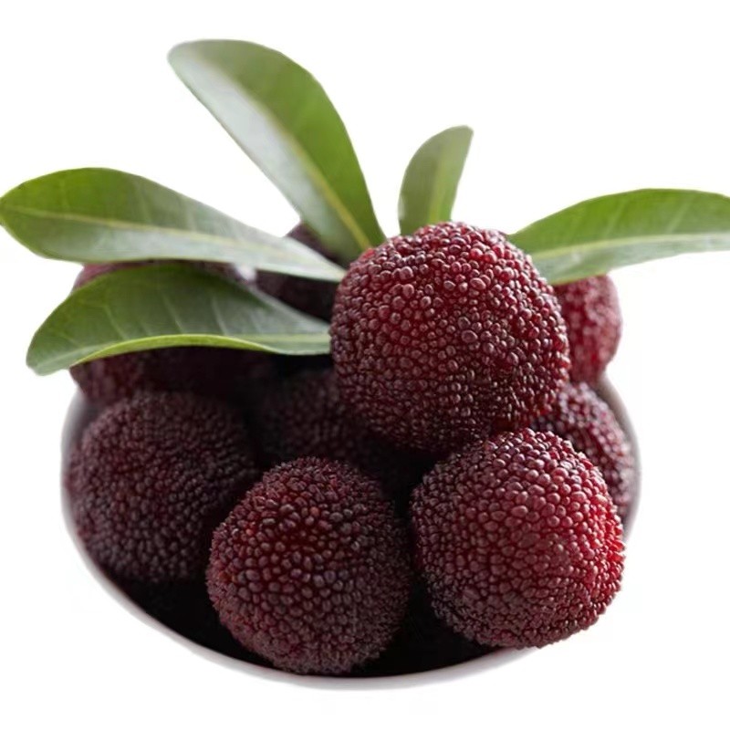 石屏东魁杨梅&福建浮宫杨梅：新鲜上市酸甜美味（5-7月）