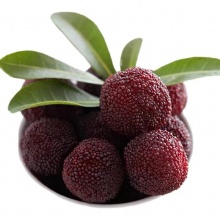 石屏东魁杨梅&福建浮宫杨梅：新鲜上市酸甜美味（5-7月）