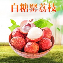 白糖罂樱荔枝礼盒：普通单果18g+/精品单果20g+ 顺丰冷链 （带软枝条发货） 5-6月中旬