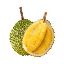 D197猫山王榴莲：液氮冷冻果，树上自然熟（全年供应）