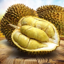 金枕榴莲：香甜软糯香味浓郁，让您榴莲忘返的味道（全年供应）