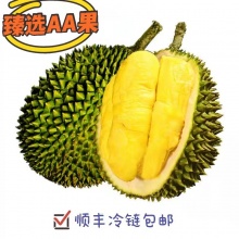 AA品猫山王榴莲|
