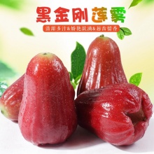 黑金刚莲雾：清甜多汁脆爽水果礼盒装全年 5斤6斤8斤