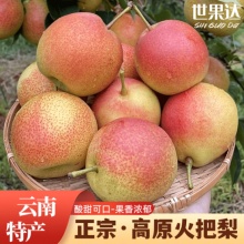 世果达高原冬红梨酸甜火把梨彩虹早酥沙苹果梨子彝族楚雄特产水果 3斤装