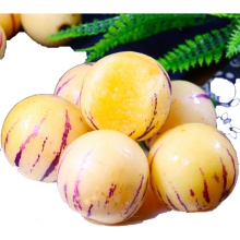 人参果大果5斤黄肉新鲜老人应季低糖人生果水果 生鲜团建活动商务送礼 2斤 人参果