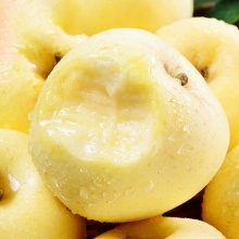 黄金奶油富士苹果：精挑细选个大新鲜，香甜可口肉厚核小5斤9斤