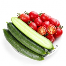 迷恋圣女果 （鲜黄色）全年除了8-9月均有货 酸甜