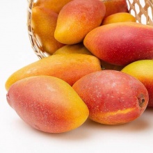 金凤凰芒果水果 高原新鲜大贵妃芒