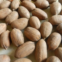 中果 碧根果原料生坚果新鲜山核桃原味