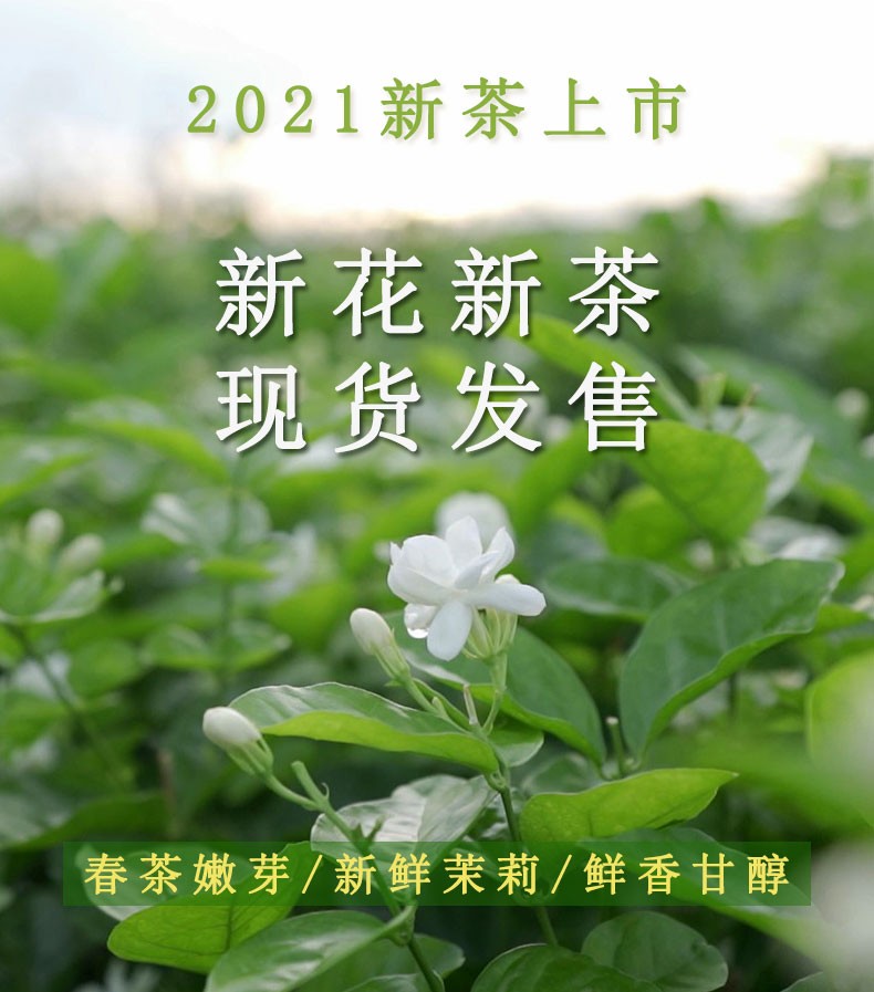 1693989116531693.jpg d511a5fd80d7fea1.jpg